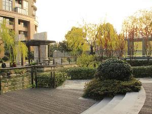 园林景观绿化提升