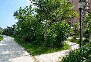 庭院景观绿化设计