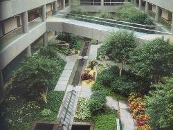 景观绿化养护管理