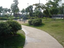 园林绿化提升工程