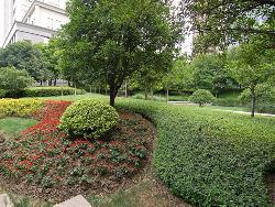 城市园林绿化工程施工