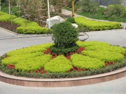 花坛景观绿化