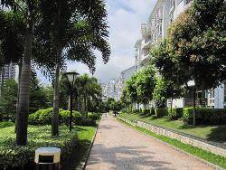 绿化带绿化养护