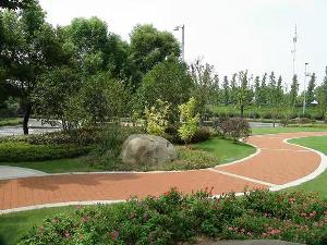 小区绿化效果