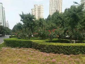 园林绿化工程造价明细