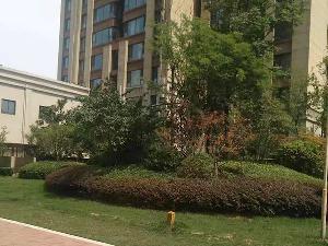 小区绿化管理工程