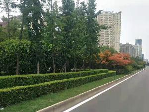 园林绿化工程公司