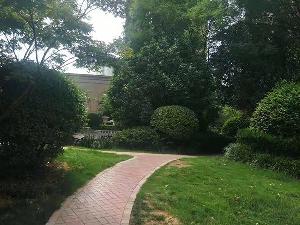 绿化工程施工方案