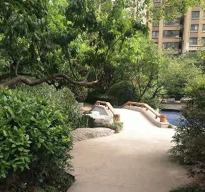 旧小区绿化提升