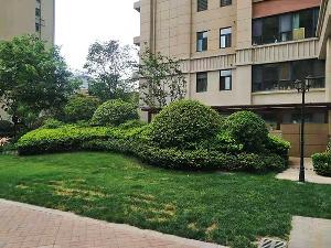 小区绿化工程解决方案