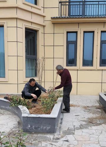 厂区大楼绿化施工现场