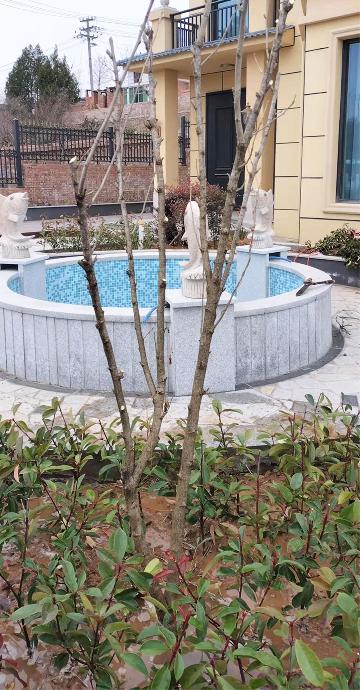 办公楼广场施工案例